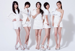 KARA カラ ロート Cキューブ CM.bmp